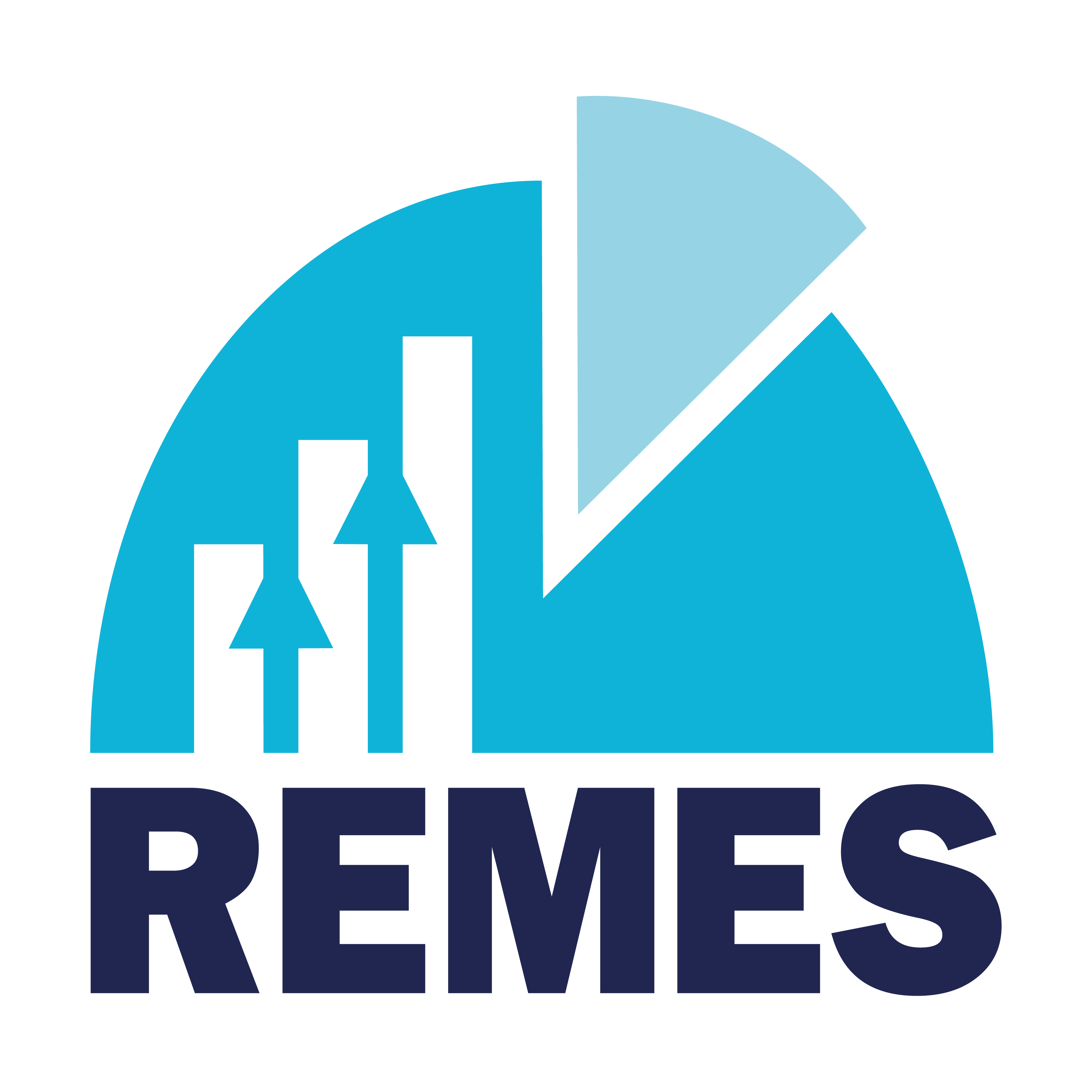 Academia Virtual REMES
